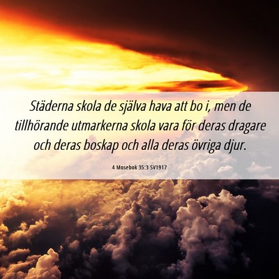 Picture 06 - 4 Mosebok 35:3 SV1917 - Städerna skola de själva hava att bo i, men de - Bible Verse Picture