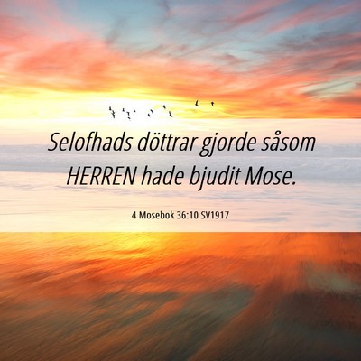 Picture 06 - 4 Mosebok 36:10 SV1917 - Selofhads döttrar gjorde såsom HERREN hade - Bible Verse Picture