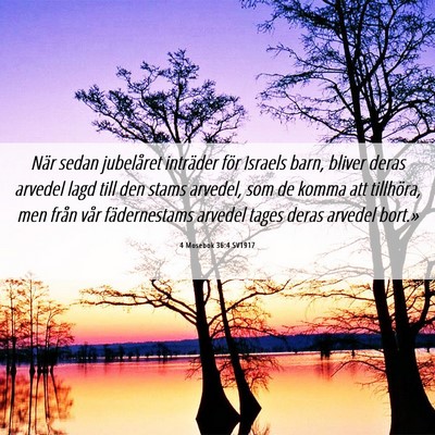 Picture 06 - 4 Mosebok 36:4 SV1917 - När sedan jubelåret inträder för Israels - Bible Verse Picture