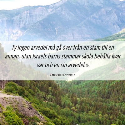Picture 06 - 4 Mosebok 36:9 SV1917 - Ty ingen arvedel må gå över från en stam till - Bible Verse Picture