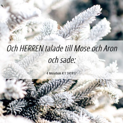 Picture 06 - 4 Mosebok 4:1 SV1917 - Och HERREN talade till Mose och Aron och - Bible Verse Picture