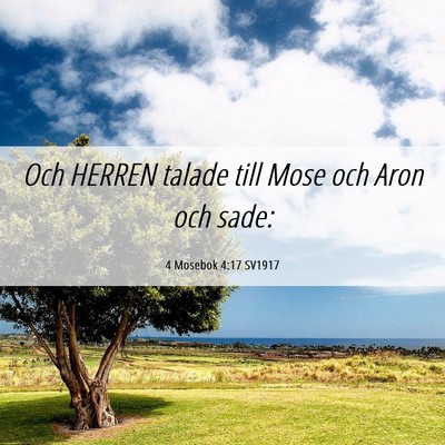 Picture 06 - 4 Mosebok 4:17 SV1917 - Och HERREN talade till Mose och Aron och - Bible Verse Picture