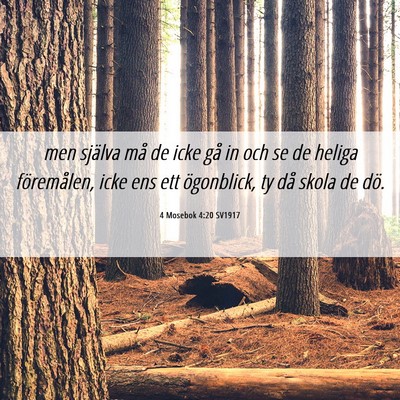 Picture 06 - 4 Mosebok 4:20 SV1917 - men själva må de icke gå in och se de heliga - Bible Verse Picture