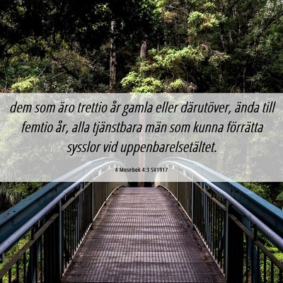 Picture 06 - 4 Mosebok 4:3 SV1917 - dem som äro trettio år gamla eller därutöver, - Bible Verse Picture