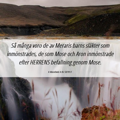 Picture 06 - 4 Mosebok 4:45 SV1917 - Så många voro de av Meraris barns släkter som - Bible Verse Picture