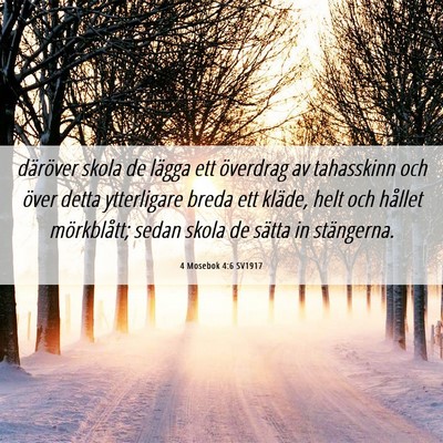 Picture 06 - 4 Mosebok 4:6 SV1917 - däröver skola de lägga ett överdrag av - Bible Verse Picture