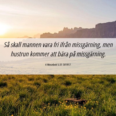 Picture 06 - 4 Mosebok 5:31 SV1917 - Så skall mannen vara fri ifrån missgärning, - Bible Verse Picture