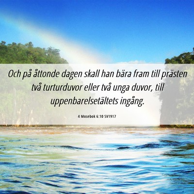 Picture 06 - 4 Mosebok 6:10 SV1917 - Och på åttonde dagen skall han bära fram till - Bible Verse Picture