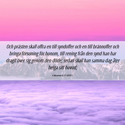 Picture 06 - 4 Mosebok 6:11 SV1917 - Och prästen skall offra en till syndoffer och en - Bible Verse Picture
