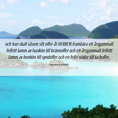 Picture 06 - 4 Mosebok 6:14 SV1917 - och han skall såsom sitt offer åt HERREN - Bible Verse Picture
