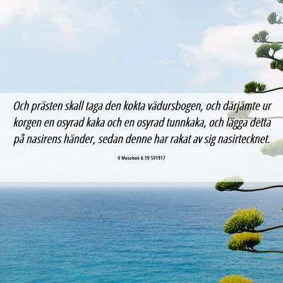 Picture 06 - 4 Mosebok 6:19 SV1917 - Och prästen skall taga den kokta vädursbogen, - Bible Verse Picture