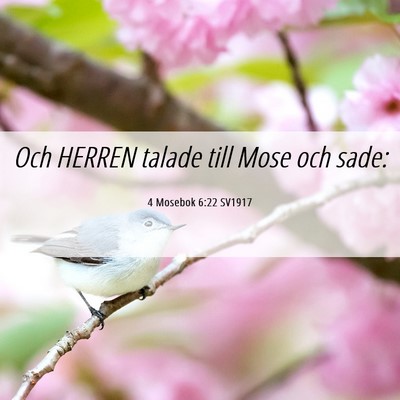Picture 06 - 4 Mosebok 6:22 SV1917 - Och HERREN talade till Mose och - Bible Verse Picture