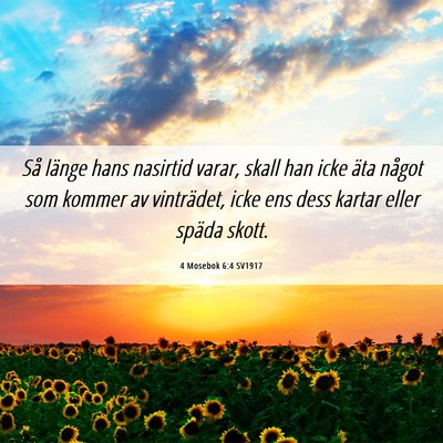Picture 06 - 4 Mosebok 6:4 SV1917 - Så länge hans nasirtid varar, skall han icke - Bible Verse Picture