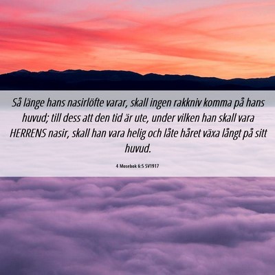 Picture 06 - 4 Mosebok 6:5 SV1917 - Så länge hans nasirlöfte varar, skall ingen - Bible Verse Picture