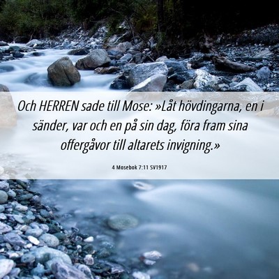Picture 06 - 4 Mosebok 7:11 SV1917 - Och HERREN sade till Mose: »Låt hövdingarna, - Bible Verse Picture