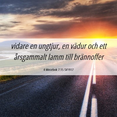 Picture 06 - 4 Mosebok 7:15 SV1917 - vidare en ungtjur, en vädur och ett årsgammalt - Bible Verse Picture