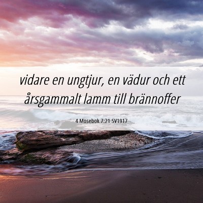 Picture 06 - 4 Mosebok 7:21 SV1917 - vidare en ungtjur, en vädur och ett årsgammalt - Bible Verse Picture