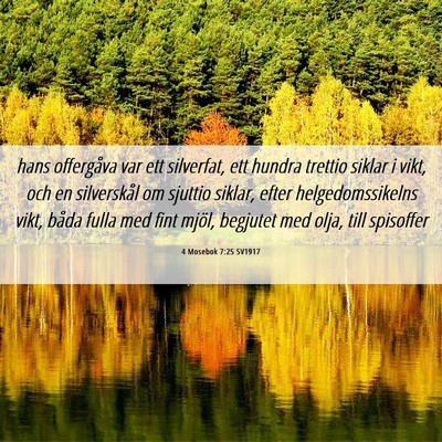 Picture 06 - 4 Mosebok 7:25 SV1917 - hans offergåva var ett silverfat, ett hundra - Bible Verse Picture