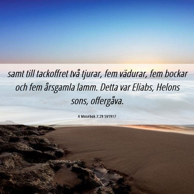 Picture 06 - 4 Mosebok 7:29 SV1917 - samt till tackoffret två tjurar, fem vädurar, - Bible Verse Picture