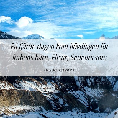 Picture 06 - 4 Mosebok 7:30 SV1917 - På fjärde dagen kom hövdingen för Rubens - Bible Verse Picture