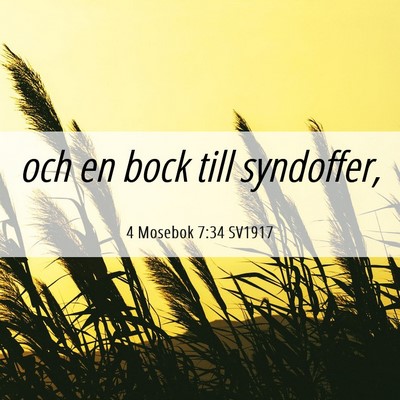 Picture 06 - 4 Mosebok 7:34 SV1917 - och en bock till - Bible Verse Picture