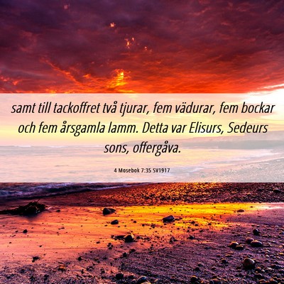 Picture 06 - 4 Mosebok 7:35 SV1917 - samt till tackoffret två tjurar, fem vädurar, - Bible Verse Picture