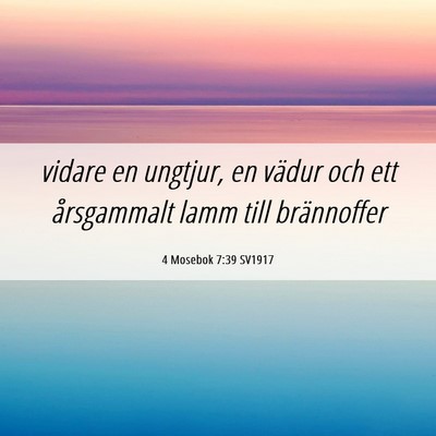Picture 06 - 4 Mosebok 7:39 SV1917 - vidare en ungtjur, en vädur och ett årsgammalt - Bible Verse Picture