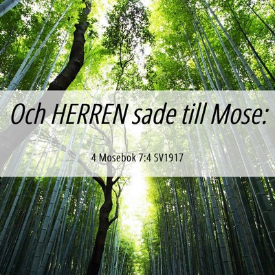 Picture 06 - 4 Mosebok 7:4 SV1917 - Och HERREN sade till - Bible Verse Picture