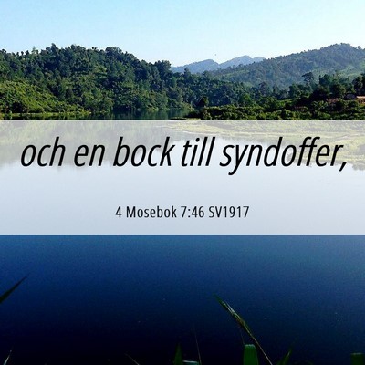Picture 06 - 4 Mosebok 7:46 SV1917 - och en bock till - Bible Verse Picture
