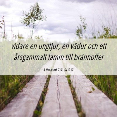 Picture 06 - 4 Mosebok 7:51 SV1917 - vidare en ungtjur, en vädur och ett årsgammalt - Bible Verse Picture