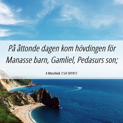 Picture 06 - 4 Mosebok 7:54 SV1917 - På åttonde dagen kom hövdingen för Manasse - Bible Verse Picture