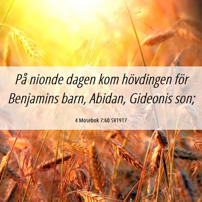 Picture 06 - 4 Mosebok 7:60 SV1917 - På nionde dagen kom hövdingen för Benjamins - Bible Verse Picture