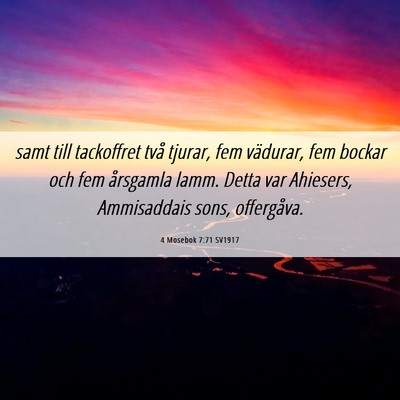 Picture 06 - 4 Mosebok 7:71 SV1917 - samt till tackoffret två tjurar, fem vädurar, - Bible Verse Picture
