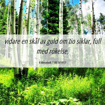 Picture 06 - 4 Mosebok 7:80 SV1917 - vidare en skål av guld om tio siklar, full med - Bible Verse Picture