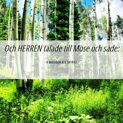 Picture 06 - 4 Mosebok 8:1 SV1917 - Och HERREN talade till Mose och - Bible Verse Picture