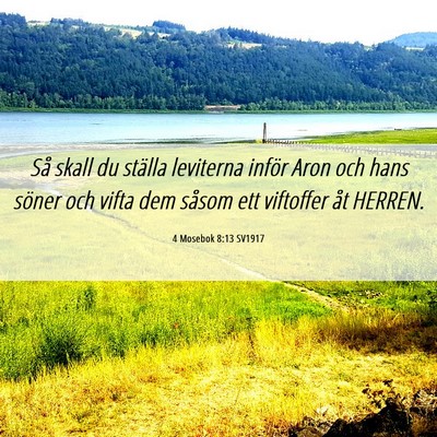 Picture 06 - 4 Mosebok 8:13 SV1917 - Så skall du ställa leviterna inför Aron och - Bible Verse Picture