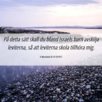 Picture 06 - 4 Mosebok 8:14 SV1917 - På detta sätt skall du bland Israels barn - Bible Verse Picture