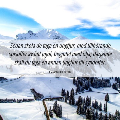 Picture 06 - 4 Mosebok 8:8 SV1917 - Sedan skola de taga en ungtjur, med tillhörande - Bible Verse Picture