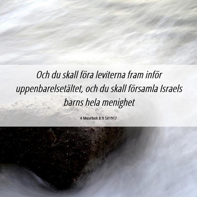 Picture 06 - 4 Mosebok 8:9 SV1917 - Och du skall föra leviterna fram inför - Bible Verse Picture