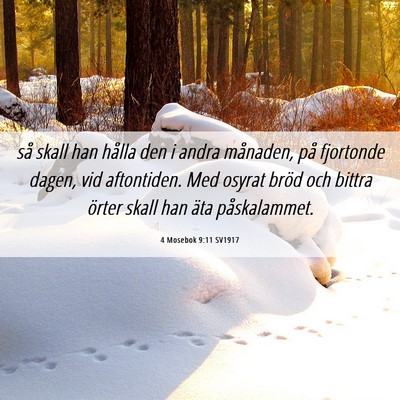 Picture 06 - 4 Mosebok 9:11 SV1917 - så skall han hålla den i andra månaden, på - Bible Verse Picture