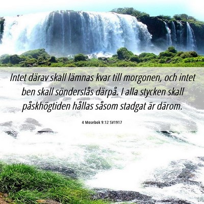 Picture 06 - 4 Mosebok 9:12 SV1917 - Intet därav skall lämnas kvar till morgonen, - Bible Verse Picture
