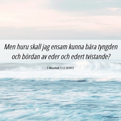 Picture 06 - 5 Mosebok 1:12 SV1917 - Men huru skall jag ensam kunna bära tyngden och - Bible Verse Picture