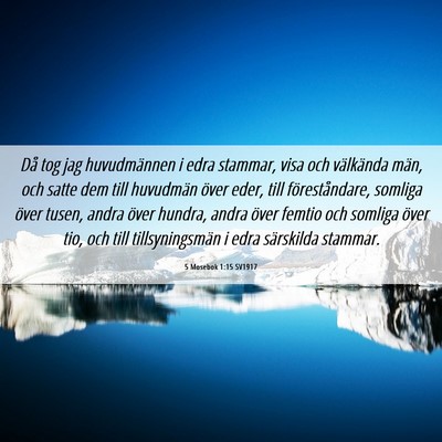 Picture 06 - 5 Mosebok 1:15 SV1917 - Då tog jag huvudmännen i edra stammar, visa och - Bible Verse Picture