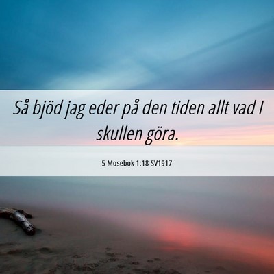 Picture 06 - 5 Mosebok 1:18 SV1917 - Så bjöd jag eder på den tiden allt vad I - Bible Verse Picture
