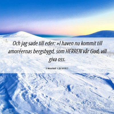 Picture 06 - 5 Mosebok 1:20 SV1917 - Och jag sade till eder: »I haven nu kommit till - Bible Verse Picture
