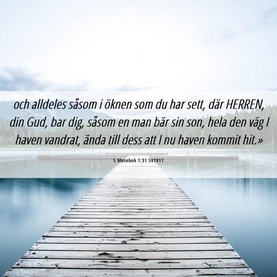 Picture 06 - 5 Mosebok 1:31 SV1917 - och alldeles såsom i öknen som du har sett, - Bible Verse Picture