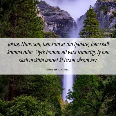 Picture 06 - 5 Mosebok 1:38 SV1917 - Josua, Nuns son, han som är din tjänare, han - Bible Verse Picture