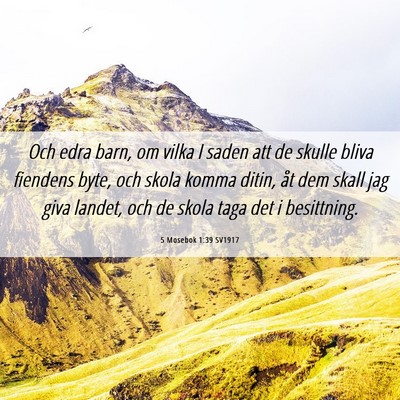 Picture 06 - 5 Mosebok 1:39 SV1917 - Och edra barn, om vilka I saden att de skulle - Bible Verse Picture