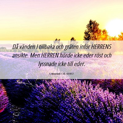 Picture 06 - 5 Mosebok 1:45 SV1917 - Då vänden I tillbaka och gräten inför HERRENS - Bible Verse Picture