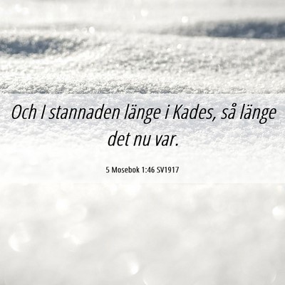 Picture 06 - 5 Mosebok 1:46 SV1917 - Och I stannaden länge i Kades, så länge det nu - Bible Verse Picture